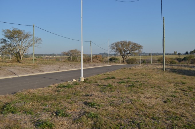 Jardines del hipodromo oro verde