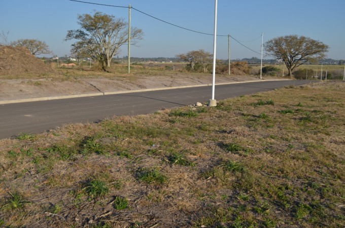 Jardines del hipodromo oro verde