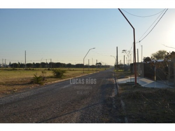 Loteo Oasis - Oro verde