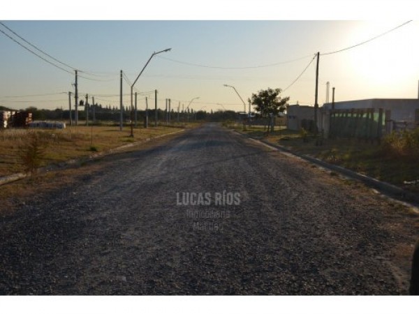 Loteo Oasis - Oro verde