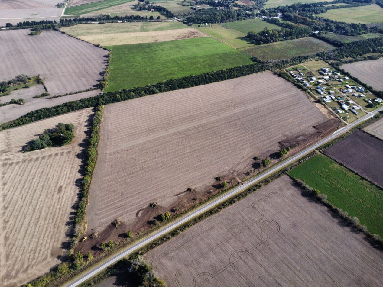 AIRES DEL SUR - TEZANOS PINTOS