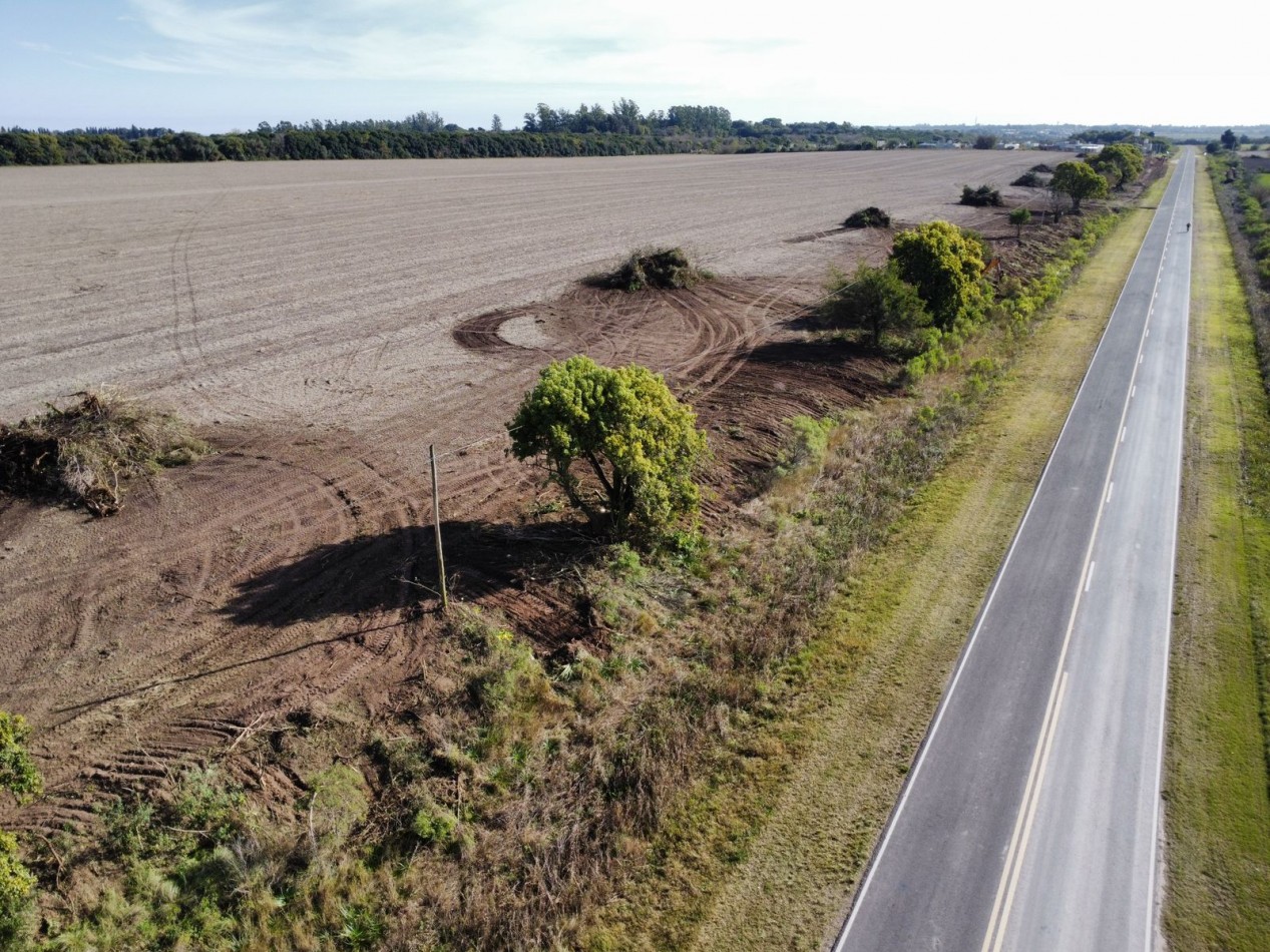 AIRES DEL SUR - TEZANOS PINTOS
