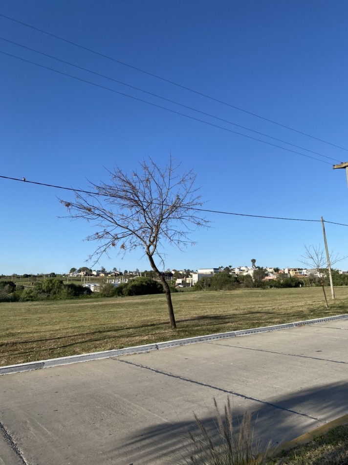 SOBRE AVENIDA EN INGRESO A ORO VERDE