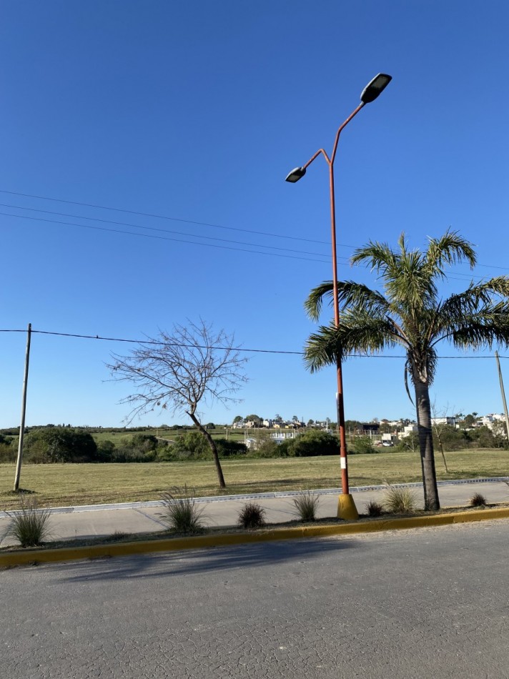 SOBRE AVENIDA EN INGRESO A ORO VERDE