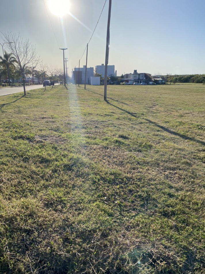 SOBRE AVENIDA EN INGRESO A ORO VERDE