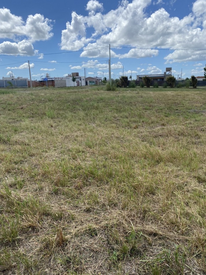 2 LOTES JUNTOS EN TIERRA ALTA