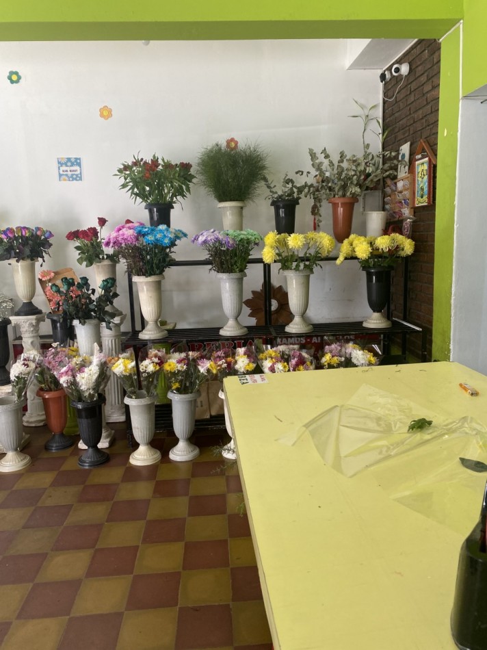 IMPORTANTE PROPIEDAD DOS CASAS CON DOS LOCALES