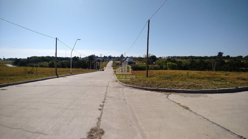 Loteo Lapachos