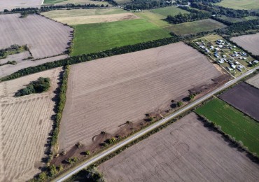 AIRES DEL SUR - TEZANOS PINTOS