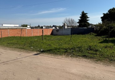TERRENO 300M2 ZONA MIGUEL DAVID Y GARRIGO 