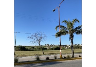 SOBRE AVENIDA EN INGRESO A ORO VERDE