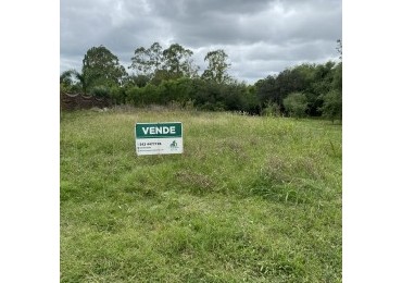 TERRENO EN LOS ALGARROBOS II 